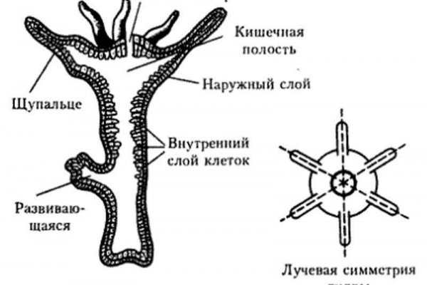 Купить наркоту