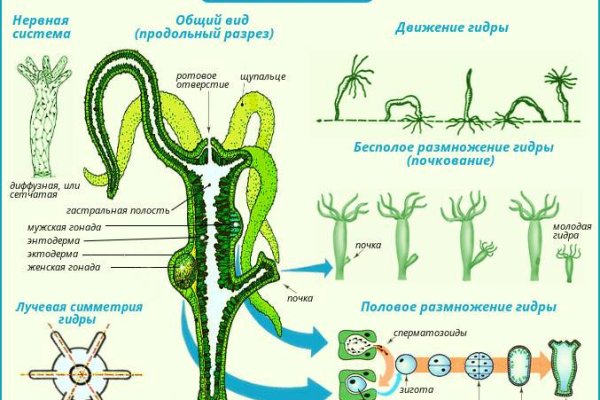 Кракен актуальное зеркало